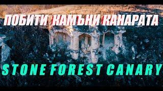 Побити камъни - Група Канарата / Stone Forest -  Group The Rock