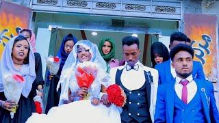 tup Oromo Wedding For /jadid-kifaya||video(2ffaa) congratulations 