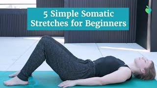 5 Somatic Stretches for Beginners