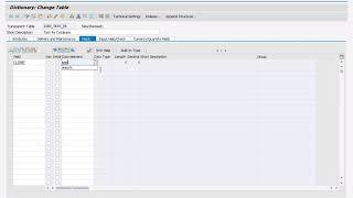 Create Database in SAP by using SE11 transaction