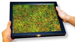 DIY Living Moss Picture Frame (Relaxing Tutorial)
