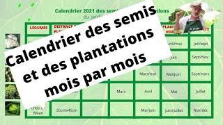 Calendrier des semis et des plantations mois par mois.