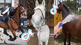 The Cutest HORSES - Equestrian TikTok Compilation #85