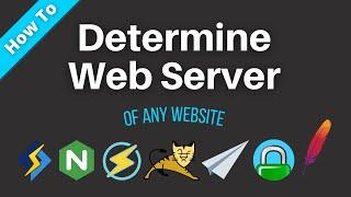 How to Find the Web Server of Any Website