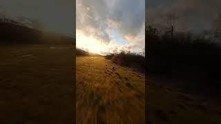 Chasing is fun #fpv #fpvdrone #drone #gopro #iflight