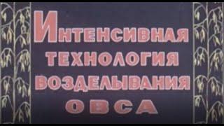 ИНТЕНСИВНАЯ ТЕХНОЛОГИЯ ВОЗДЕЛЫВАНИЯ ОВСА ОБУЧАЮЩИЙ ФИЛЬМ СССР #агрономия #овес