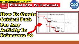 How To Create Critical Path For Any Activity In Primavera P6 || Primavera Tips || dptutorials