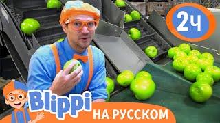 Блиппи на яблочной фабрике | Изучай этот мир вместе с Блиппи | Blippi Russian