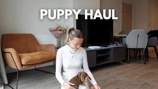 PUPPY HAUL everything I bought for my mini dachshund