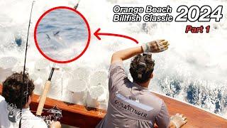 Orange Beach Billfish Classic 2024 Part 1 | Right Back To Where We Started!