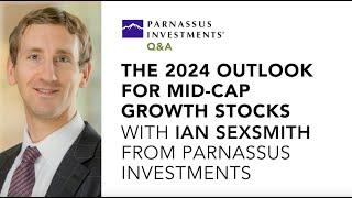 The 2024 outlook for mid-cap growth stocks