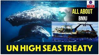 High Sea Treaty | eez | unclos law of the sea | marine pollution | marine protected area | mpa