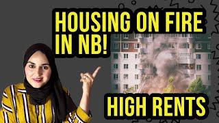 Must watch if you are looking for Accommodation| Why it's so Hard/Expensive to find Rent