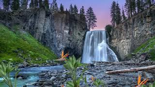 Fondo de pantalla Cascada de fantasía con mariposas y música relajante para dormir, leer o meditar.