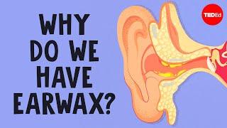 What is earwax — and should you get rid of it? - Henry C. Ou