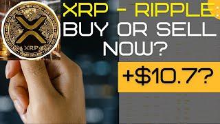 XRP or Bitcoin What's the Best Choice for 2024 Investors?