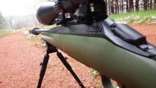 Ruger american predator 308 suppressed