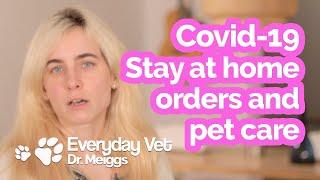 Taking Care of Pets During the Covid-19 Pandemic
