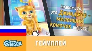 Говорящий Джинджер - Геймплей