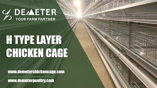 Poultry Farming Automatic Battery Layer Chicken Cage from China Factory