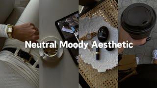 Neutral Moody Aesthetic Lightroom Preset Free Download | Instagram Feed Ideas