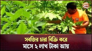 সবজির চারা বিক্রি করে মাসে ২ লাখ টাকা আয় | Agriculture | Agro Business Channel 24