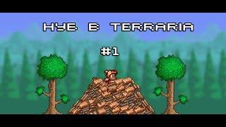 Нуб в Terraria #1