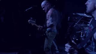 Cro-Mags - Full Set - 05/08/24 @ The Dark Roast (Chattanooga, TN)