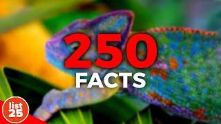 250 Amazing FACTS That Will Blow Your MIND