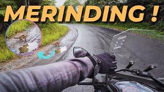 Ep.10 MERINDING ! Ketemu MACAN AKAR ! | Touring MEDAN - JKT