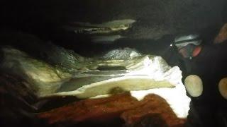 Toronto Cave Group  - Marmora Caving 2015
