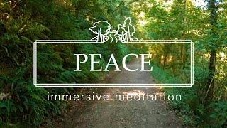 Peace - Immersive Meditation 