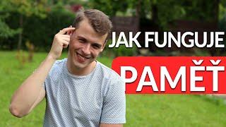 Jak funguje paměť a jak toho můžeš využít?!