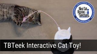 TBTeek Interactive Cat Toy!