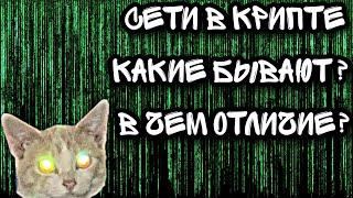 Что такое Сети в Крипте?  |  Мосты в Крипте  |  Что такое GAS?