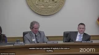 Joint Revenue Committee, November 18, 2024 - PM