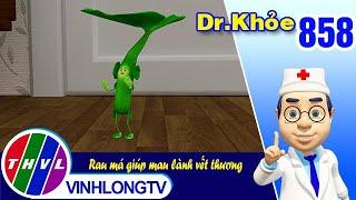 Dr. Khỏe - Tập 858: Rau má giúp mau lành vết thương