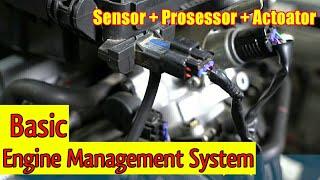 Pengenalan EMS (Engine Management System) SENSOR | PROSESSOR | ACTUATOR