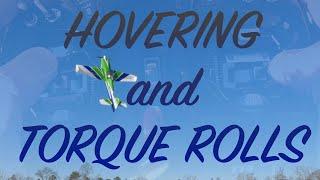 Learn to Hover-- You can do it! Live footage examples to help you learn
