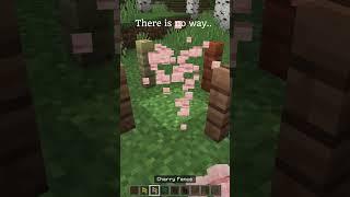 Minecraft Fence Moment #minecraft #minecraftshorts #memes