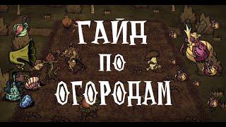 Полный гайд по ОГОРОДУ в Don't Starve Together!