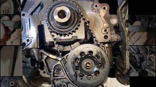 Timing belt, Oil pump belt, Oil change VAG 2.0TDI CR euro 6