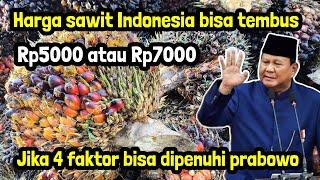 Harga sawit indonesia bisa lebih Rp5000 jika 4 faktor ini bisa terjadi