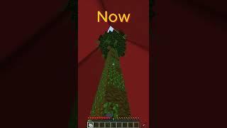 Then vs Now Me in Minecraft | Minecraft MEME |