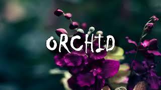 [FREE] Guitar/Chill Trap Beat - 'ORCHID' |Original Trap/Rap Guitar Instrumental (Prod. Sobczi Beatz)