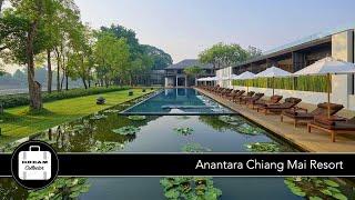 Anantara Chiang Mai Resort | Ep.56 Dream Collector