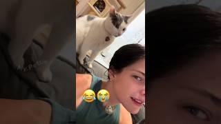 Hilarious Cat Slap Fails: When Fluffy Takes Charge  #MyPetsie Ft @Adam.Elea1