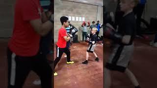 Junior Boxing @ Royal Resistance 2019