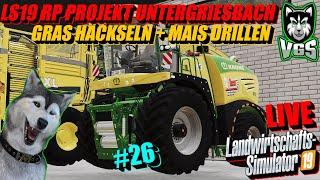 LS19 RP Projekt Untergriesbach #26 | Gras Häckseln & Drillen | Viel Arbeit LIVE