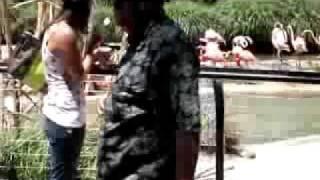 Coincidence Illusion: Child 'Disappears' at San Diego Zoo